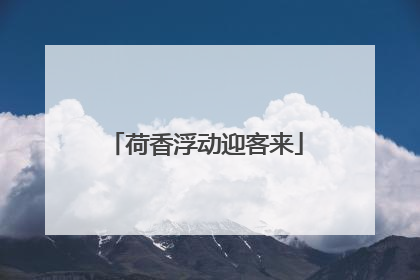 荷香浮动迎客来