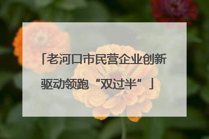 老河口市民营企业创新驱动领跑“双过半”