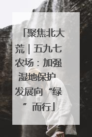 聚焦北大荒｜五九七农场：加强湿地保护 发展向“绿”而行