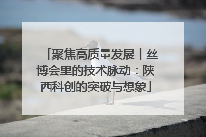 聚焦高质量发展丨丝博会里的技术脉动：陕西科创的突破与想象