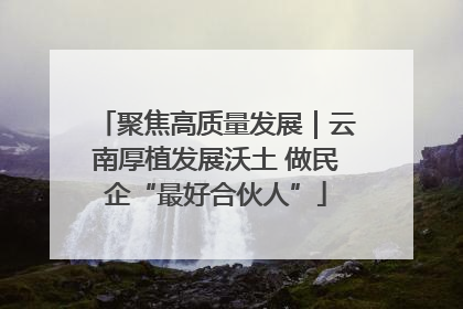 聚焦高质量发展｜云南厚植发展沃土 做民企“最好合伙人”