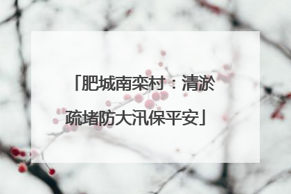 肥城南栾村：清淤疏堵防大汛保平安