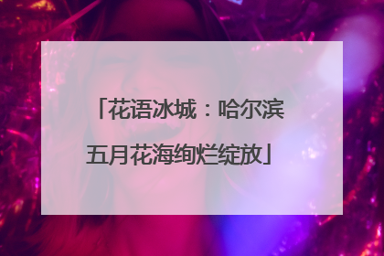 花语冰城：哈尔滨五月花海绚烂绽放
