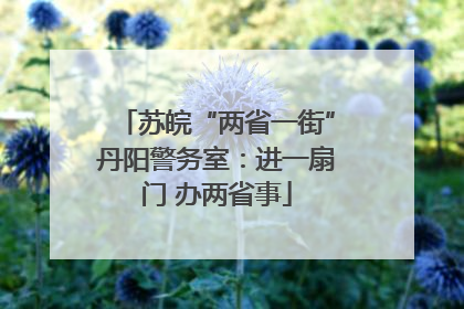 苏皖“两省一街”丹阳警务室：进一扇门 办两省事