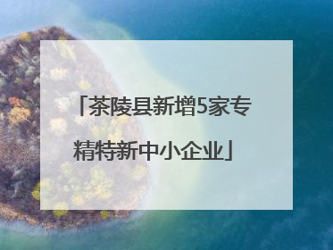 茶陵县新增5家专精特新中小企业