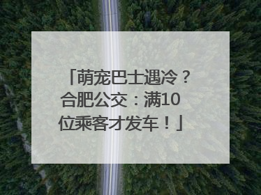 萌宠巴士遇冷？合肥公交：满10位乘客才发车！
