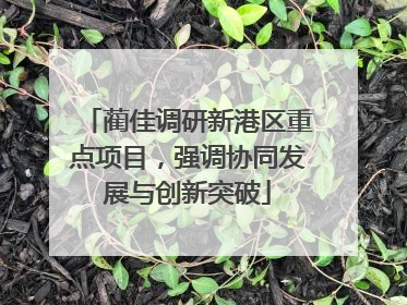 蔺佳调研新港区重点项目，强调协同发展与创新突破