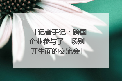 记者手记：跨国企业参与了一场别开生面的交流会
