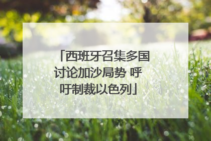 西班牙召集多国讨论加沙局势 呼吁制裁以色列