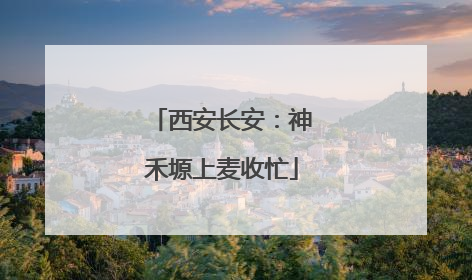 西安长安：神禾塬上麦收忙