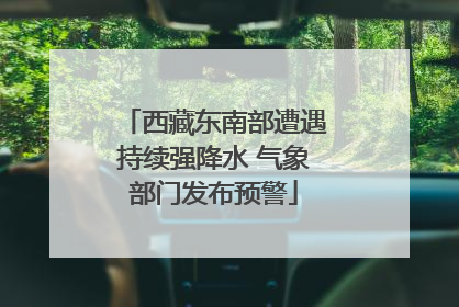 西藏东南部遭遇持续强降水 气象部门发布预警