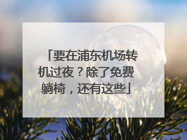 要在浦东机场转机过夜？除了免费躺椅，还有这些