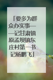 要多为群众办实事——记甘肃镇原孟坝镇东庄村第一书记杨鹏飞