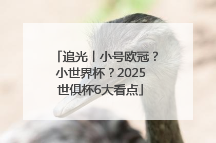 追光丨小号欧冠？小世界杯？2025世俱杯6大看点