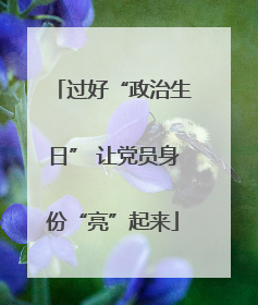 过好“政治生日” 让党员身份“亮”起来