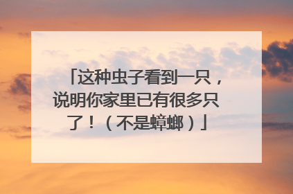 这种虫子看到一只，说明你家里已有很多只了！（不是蟑螂）