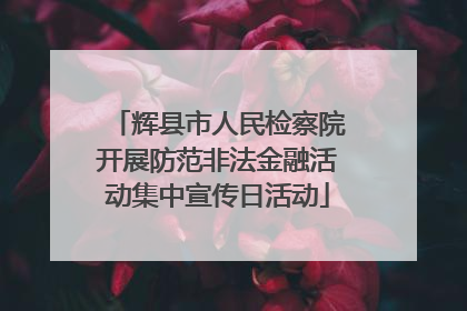 辉县市人民检察院开展防范非法金融活动集中宣传日活动