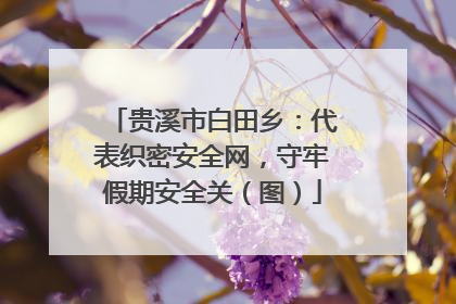 贵溪市白田乡：代表织密安全网，守牢假期安全关（图）