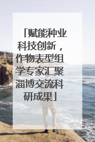 赋能种业科技创新，作物表型组学专家汇聚淄博交流科研成果