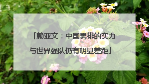赖亚文：中国男排的实力与世界强队仍有明显差距