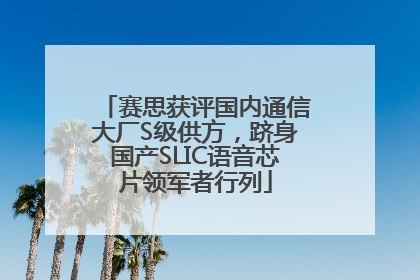 赛思获评国内通信大厂S级供方，跻身国产SLIC语音芯片领军者行列
