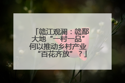 赣江观澜：赣鄱大地“一村一品”何以推动乡村产业“百花齐放”？