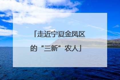 走近宁夏金凤区的“三新”农人