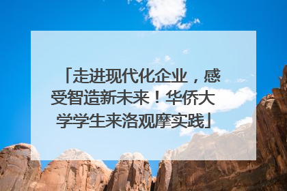 走进现代化企业，感受智造新未来！华侨大学学生来洛观摩实践