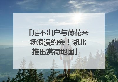 足不出户与荷花来一场浪漫约会！湖北推出赏荷地图