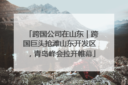 跨国公司在山东｜跨国巨头抢滩山东开发区，青岛峰会拉开帷幕