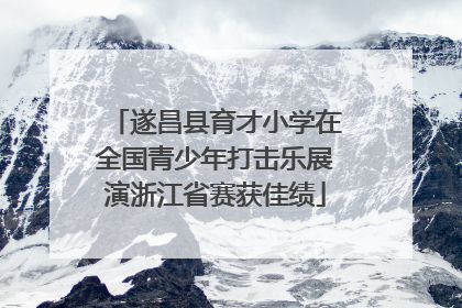 遂昌县育才小学在全国青少年打击乐展演浙江省赛获佳绩