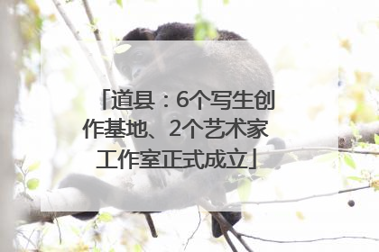 道县：6个写生创作基地、2个艺术家工作室正式成立