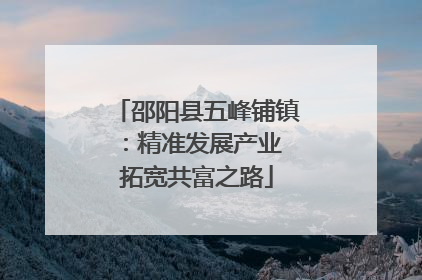 邵阳县五峰铺镇：精准发展产业 拓宽共富之路