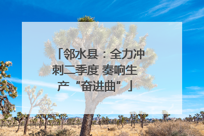 邻水县：全力冲刺二季度 奏响生产“奋进曲”
