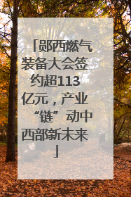 郧西燃气装备大会签约超113亿元，产业“链”动中西部新未来