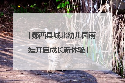 郧西县城北幼儿园萌娃开启成长新体验