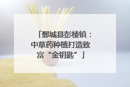 鄄城县彭楼镇：中草药种植打造致富“金钥匙”