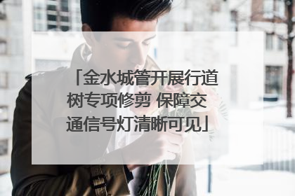 金水城管开展行道树专项修剪 保障交通信号灯清晰可见
