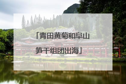 青田黄菊和阜山笋干组团出海