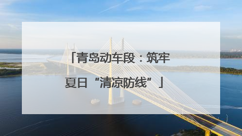 青岛动车段：筑牢夏日“清凉防线”
