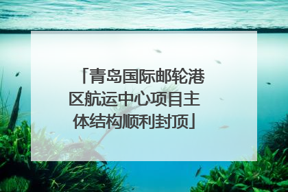 青岛国际邮轮港区航运中心项目主体结构顺利封顶