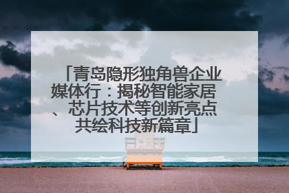 青岛隐形独角兽企业媒体行：揭秘智能家居、芯片技术等创新亮点 共绘科技新篇章