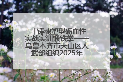 铸魂塑型砺血性 实战实训锻铁拳——乌鲁木齐市天山区人武部组织2025年度民兵集中轮训