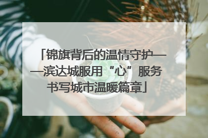 锦旗背后的温情守护——滨达城服用“心”服务书写城市温暖篇章