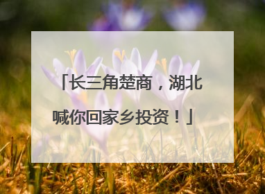 长三角楚商，湖北喊你回家乡投资！