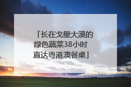 长在戈壁大漠的绿色蔬菜38小时直达粤港澳餐桌