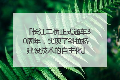 长江二桥正式通车30周年，实现了斜拉桥建设技术的自主化