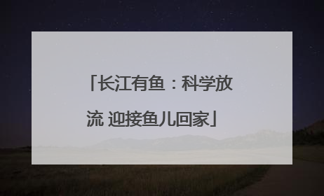 长江有鱼：科学放流 迎接鱼儿回家