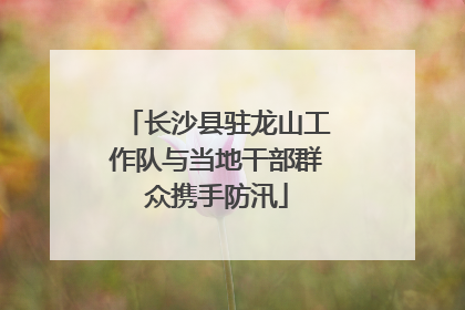 长沙县驻龙山工作队与当地干部群众携手防汛