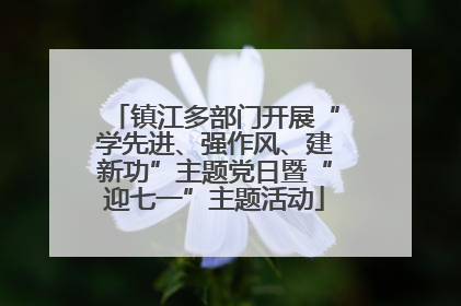 镇江多部门开展“学先进、强作风、建新功”主题党日暨“迎七一”主题活动